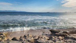 semarnat-frena-intento-privatizacion-playa-las-cocinas-nayarit-destacada