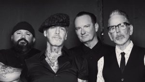 social distortion