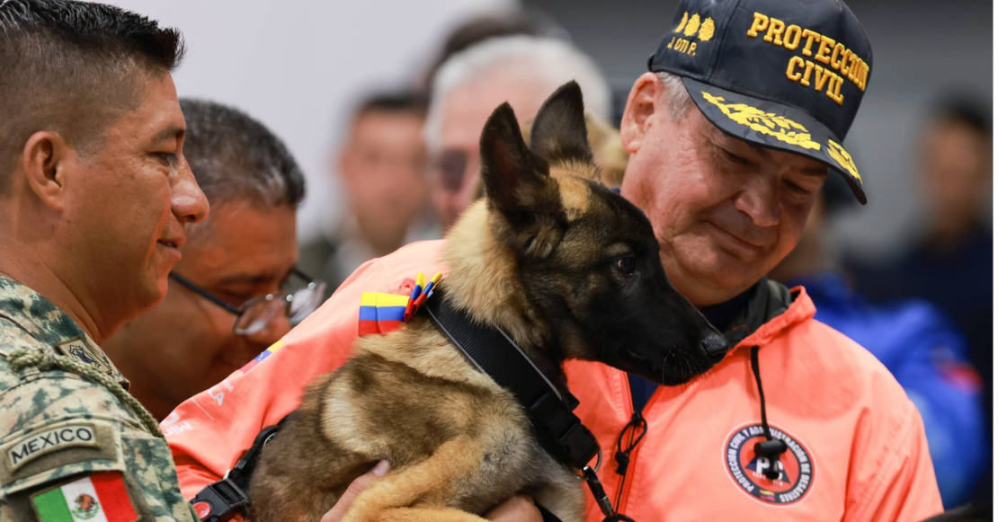 ¡Un gran detalle! Venezuela regala cachorra al Ejército Mexicano en agradecimiento a la ayuda en los trabajos de búsqueda y rescate