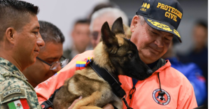 ¡Un gran detalle! Venezuela regala cachorra al Ejército Mexicano en agradecimiento a la ayuda en los trabajos de búsqueda y rescate