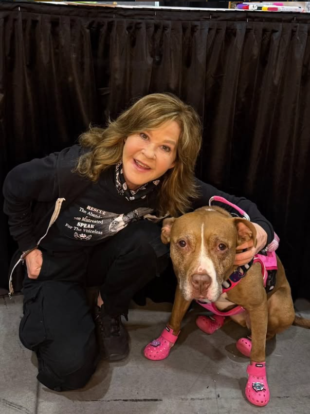 Investigan a Linda Blair, estrella de El Exorcista, por un refugio con más de 100 perros