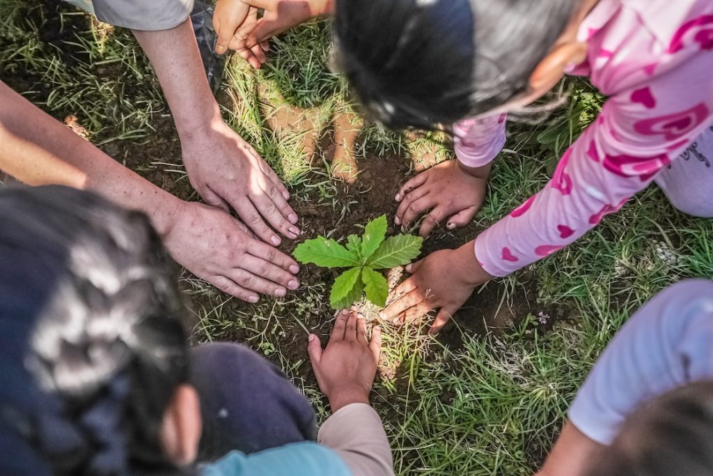 GP de México reforestó una hectárea en el Estado de México