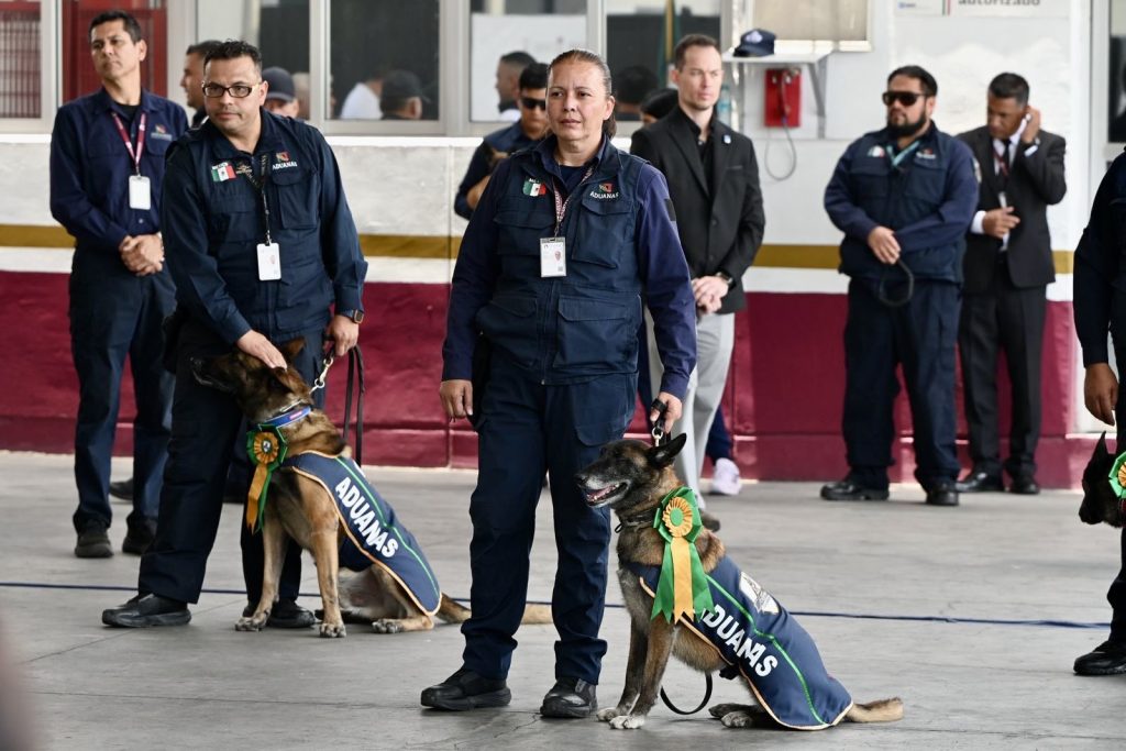 Misión cumplida: ANAM retira con honores a cuatro binomios caninos que sirvieron por siete años