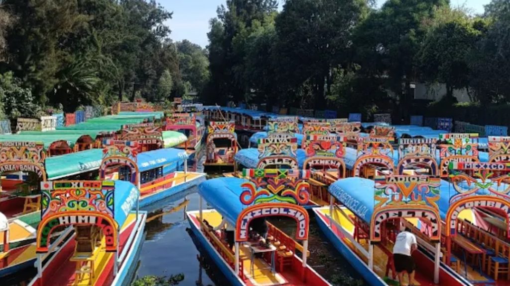 axolowashing-cdmx-legado-ambiental-visual-situacion-ajolote-xochimilco