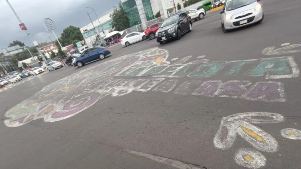 axolowashing-cdmx-legado-ambiental-visual-situacion-ajolote-xochimilco-4