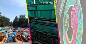 axolowashing-cdmx-legado-ambiental-visual-situacion-ajolote-xochimilco-destacada