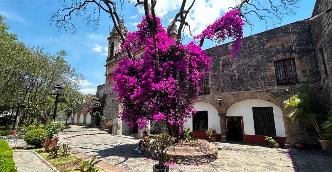 Calles empedradas y magia: Los callejones más bonitos de San Ángel