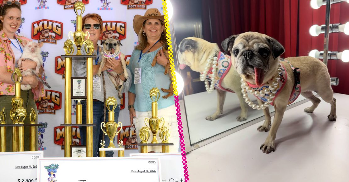 ¡La tercera fue la vencida! Jinny Lu se corona como la ‘perrita más fea del mundo’