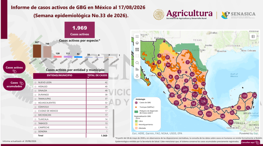 detectan-primer-caso-gusano-barrenador-sonora-exportacion-ganado-3