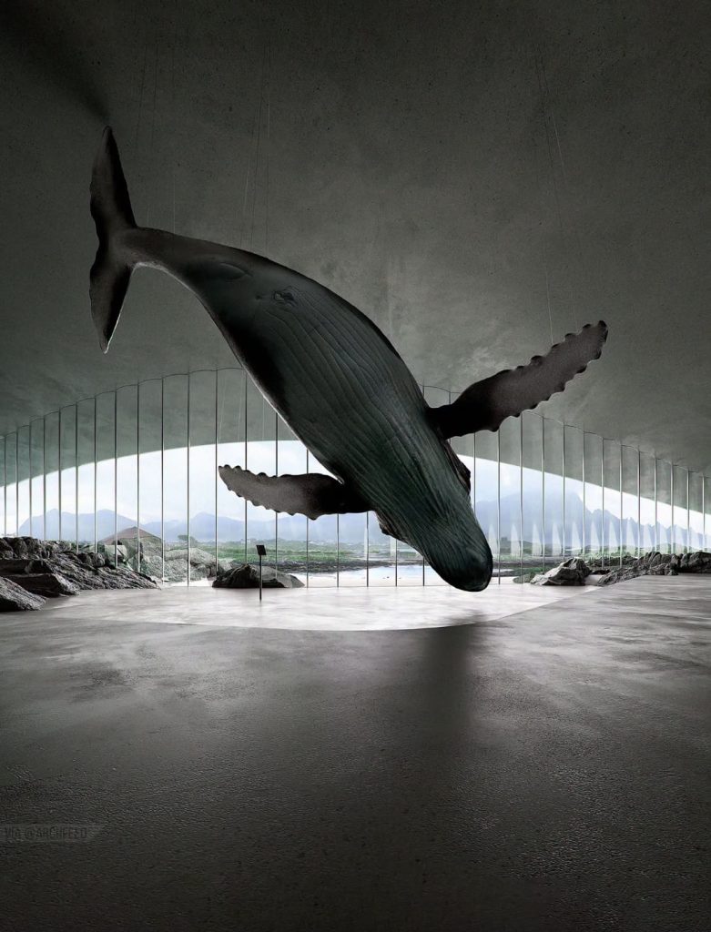 El Museo de las Ballenas
