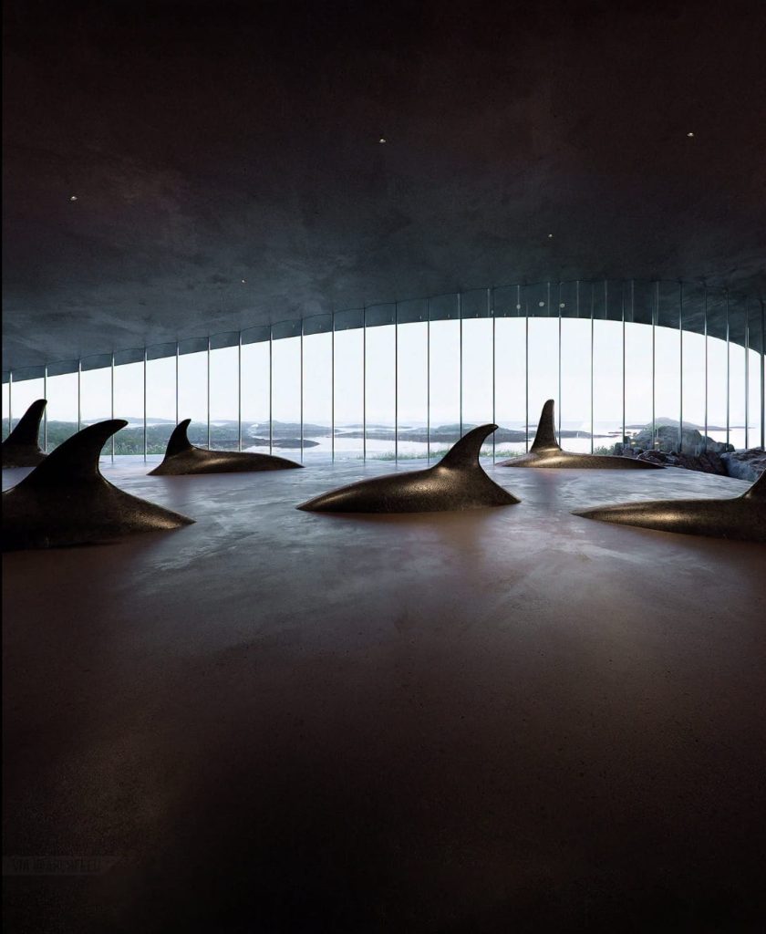 El Museo de las Ballenas