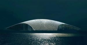 El Museo de las Ballenas