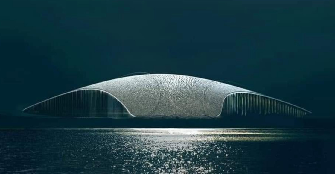 El Museo de las Ballenas