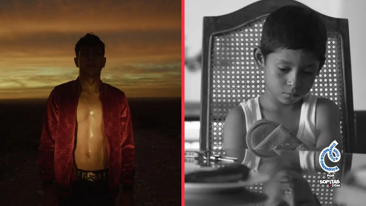 'En el camino' y 'Moscas' representarán a México en la carrera por los premios Oscar y los Goya