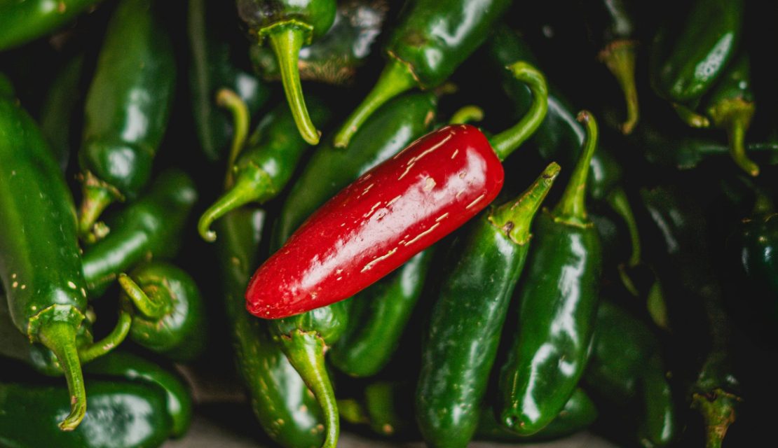 Estados Unidos advierte brote de salmonela vinculado a jalapeños de México