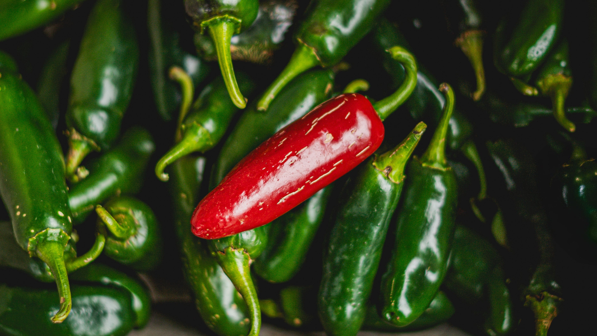 estados-unidos-advierte-brote-salmonela-vinculado-jalapenos-mexico-destacada