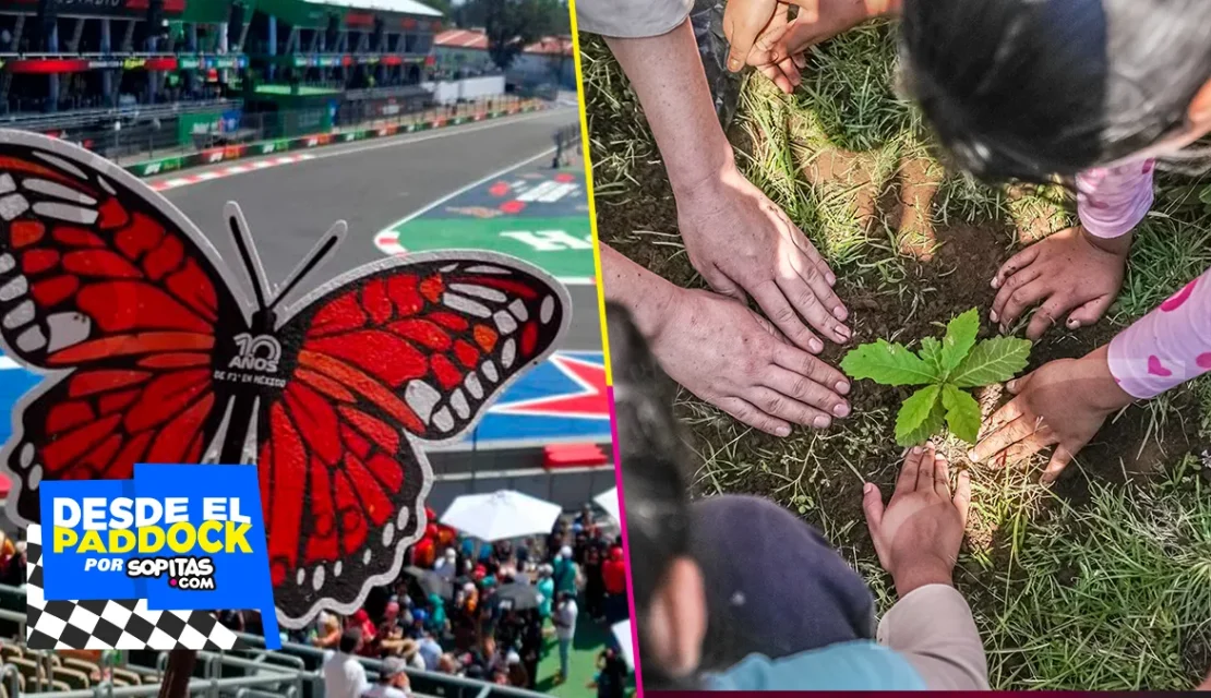 El GP de México ataca su propia huella de carbono a través de la reforestación