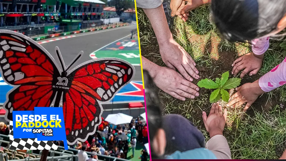 Huella de carbono GP de México