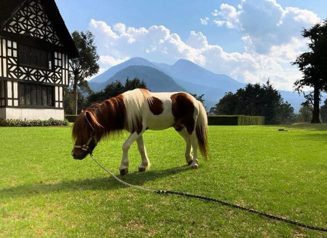 Así es el Laberinto del Ajusco