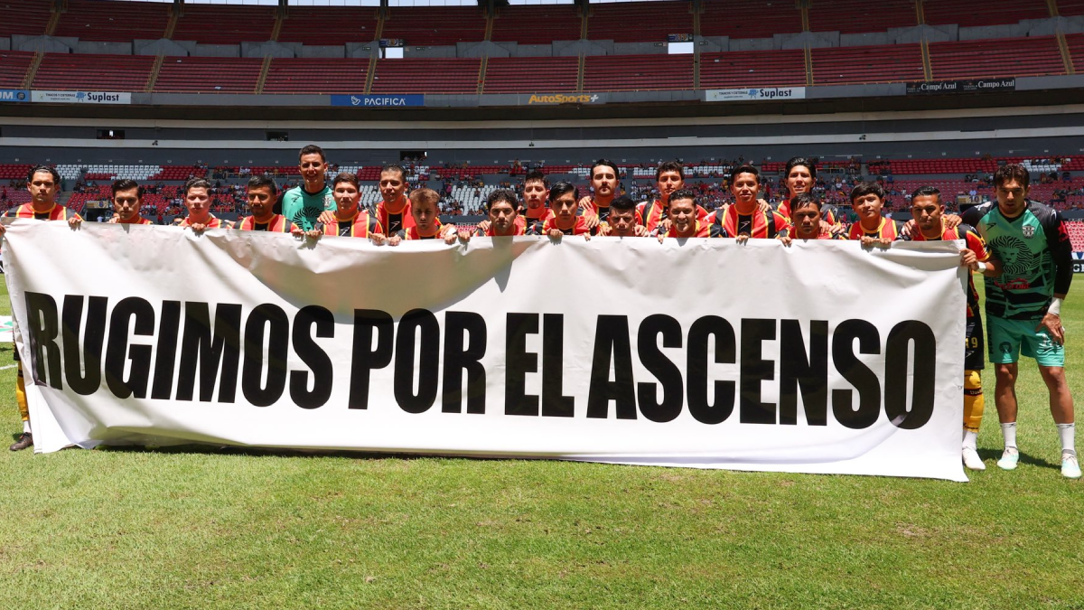 Leones Negros