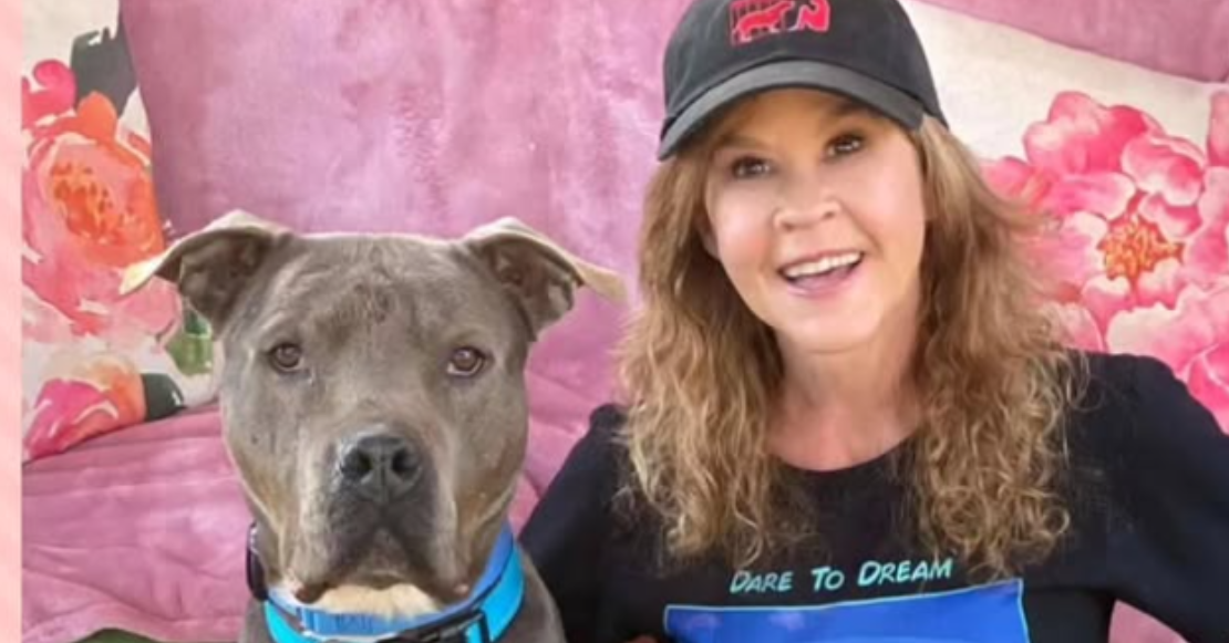 Investigan a Linda Blair, estrella de El Exorcista, por un refugio con más de 100 perros