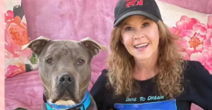 Investigan a Linda Blair, estrella de El Exorcista, por un refugio con más de 100 perros