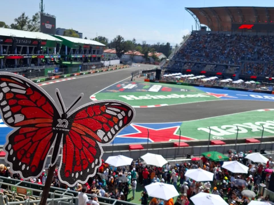Mariposa de papel semilla