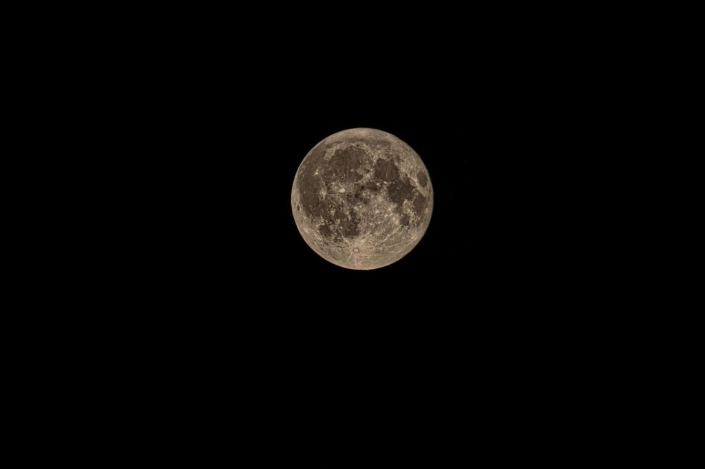 ¿Los microbios sobreviven en la Luna? La NASA ya está preocupada