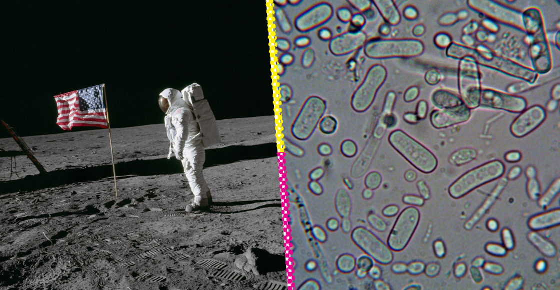 ¿Los microbios sobreviven en la Luna? La NASA ya está preocupada