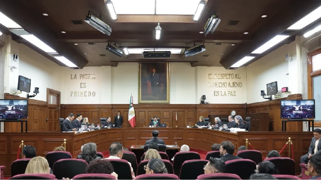 ministra-loretta-ortiz-quita-implante-defender-derechos-personas-discapacidad-1