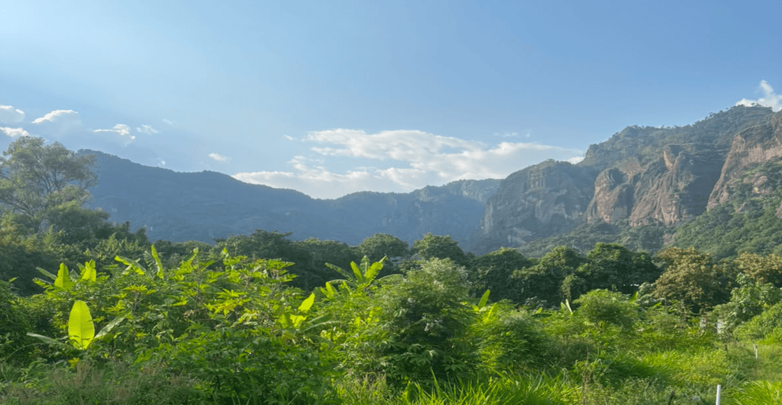 5 actividades en Tepoztlán