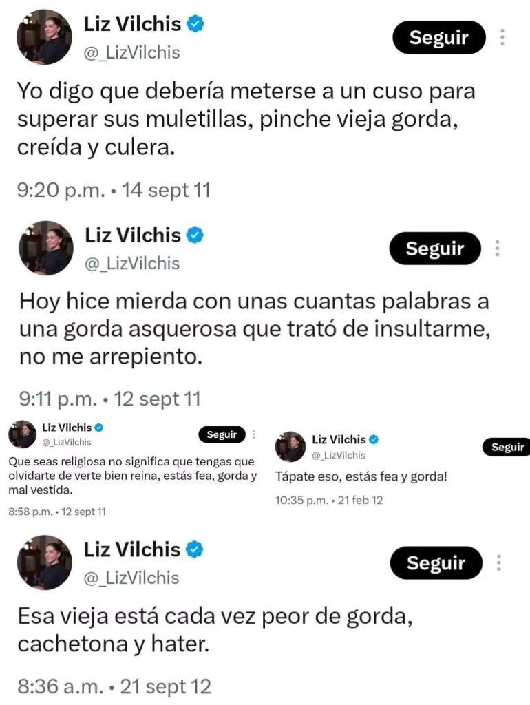 ¿Y quién es Liz Vilchis y por qué la andan funando por sus tuits antiguos?