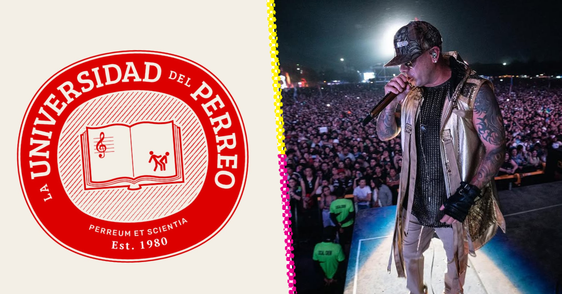 Universidad del Perreo: ¡Wisin lo hace realidad y ya queremos una beca!