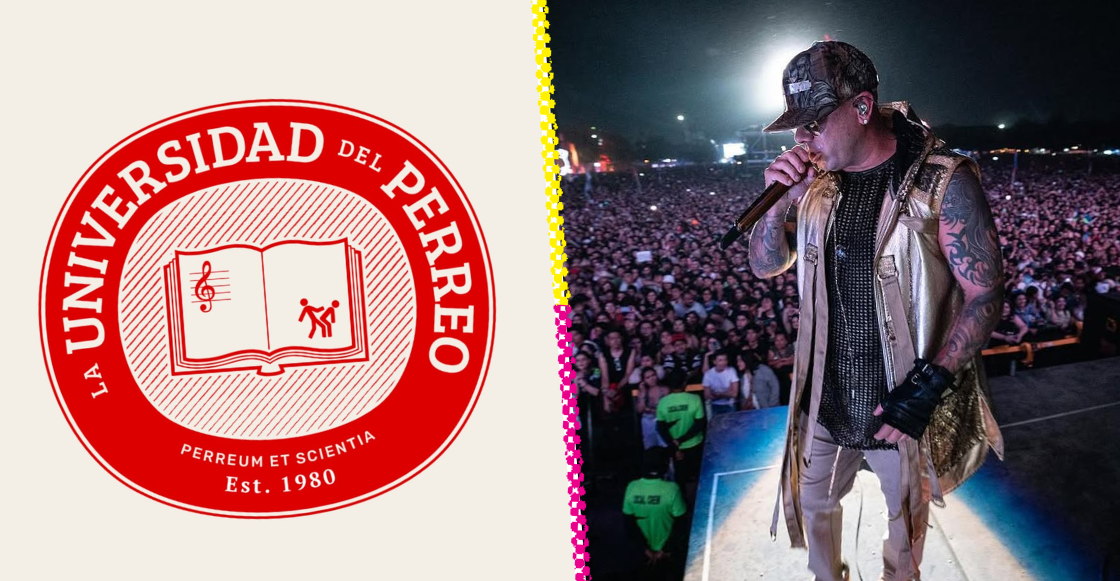 Universidad del Perreo: ¡Wisin lo hace realidad y ya queremos una beca!