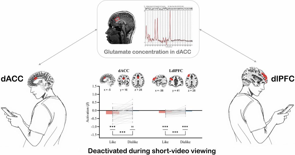 ¿Pasas horas viendo videos cortos? ¡Tu cerebro podría estar en peligro!