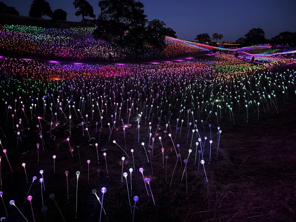 Sensorio show de luces California