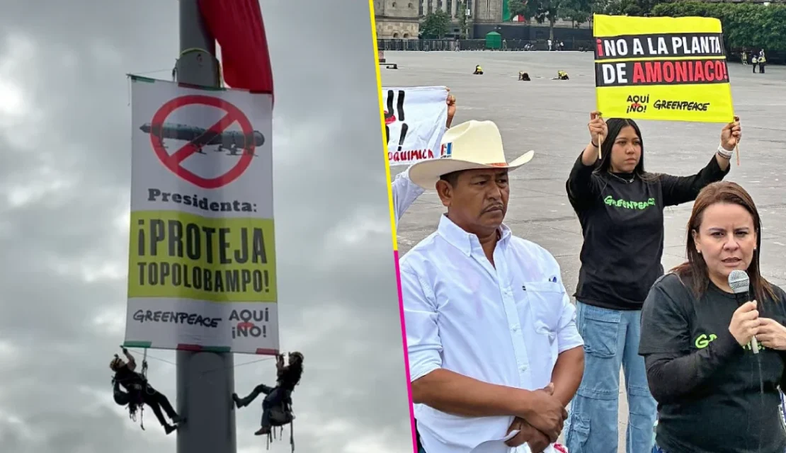 Activistas escalan asta de bandera en el Zócalo; exigen cancelar planta de amoníaco en Topolobampo