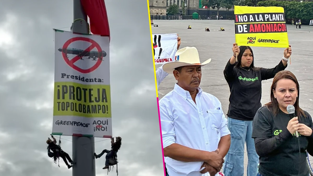 activistas-escalan-asta-bandera-zocalo-exigen-cancelar-planta-amoniaco-topolobampo-destacada