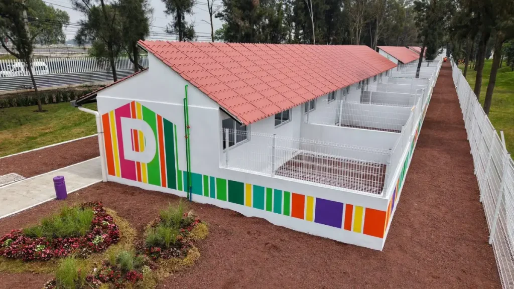 Hotel para lomitos y michis: CDMX inaugura "Xólotl", albergue público para 600 perros y gatos
