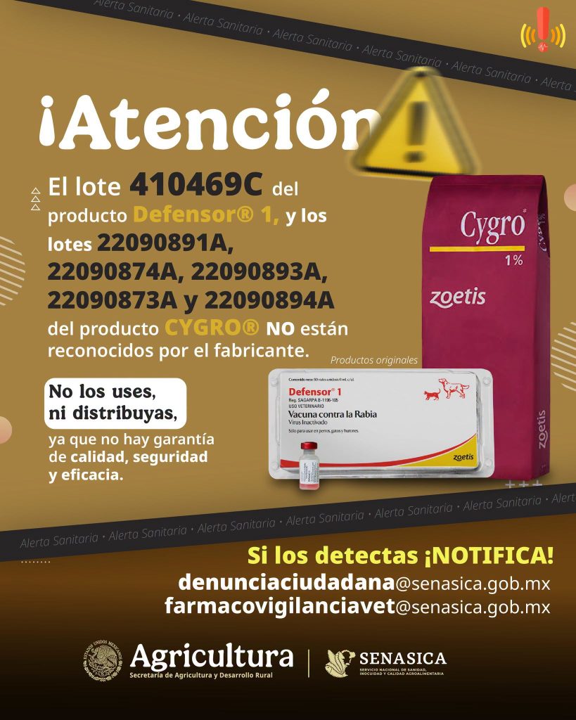 alerta-sanitaria-vacuna-falsa-contra-rabia-perros-gatos-1