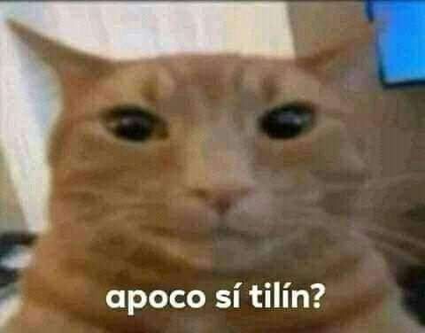 a poco si meme