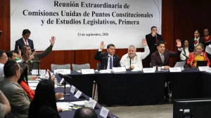 avanza-comision-senado-reforma-doble-nacionalidad-cargos-publicos