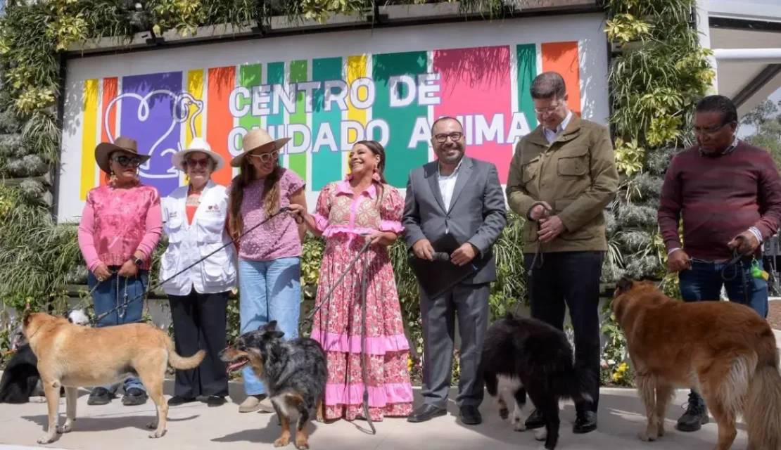 Hotel para lomitos y michis: CDMX inaugura “Xólotl”, albergue público para 600 perros y gatos