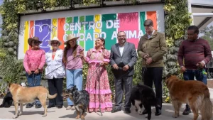 Hotel para lomitos y michis: CDMX inaugura "Xólotl", albergue público para 600 perros y gatos