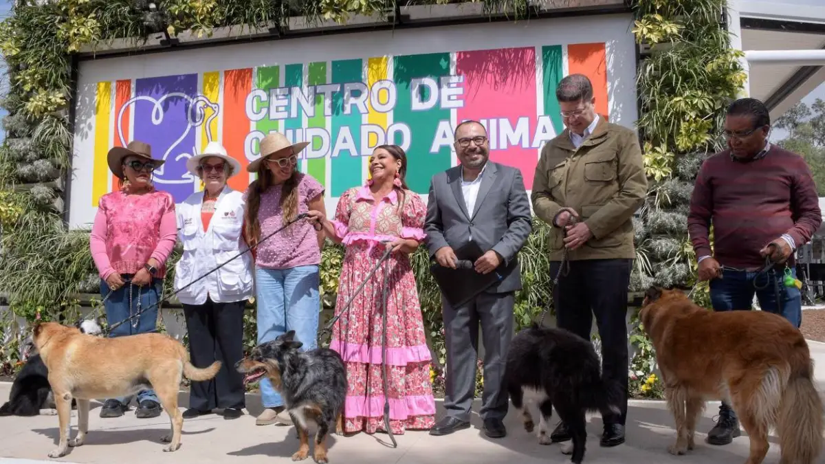 Hotel para lomitos y michis: CDMX inaugura "Xólotl", albergue público para 600 perros y gatos