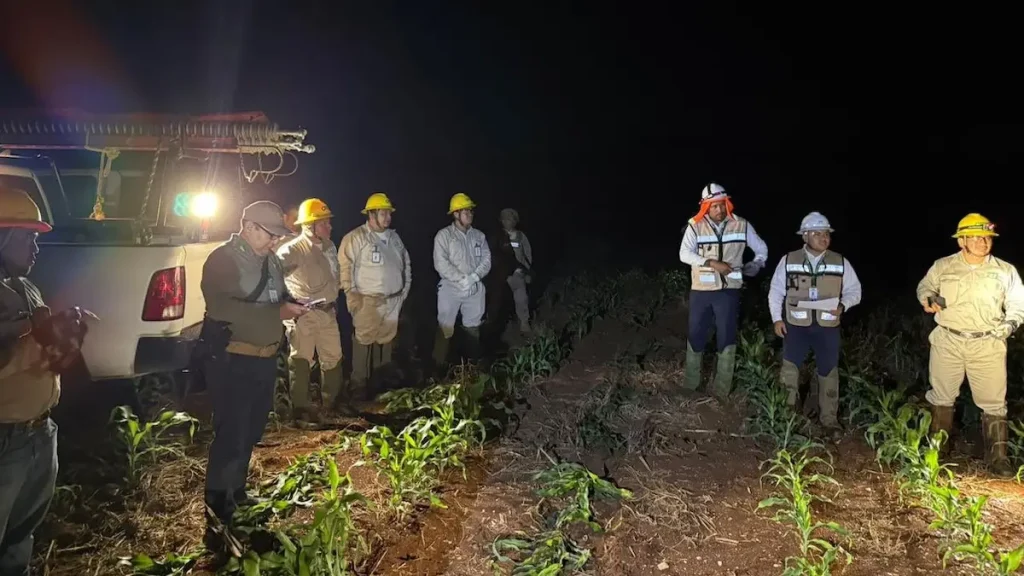 Apagón en Yucatán, Quintana Roo, Campeche y Chiapas: CFE dice que fue por... vandalismo