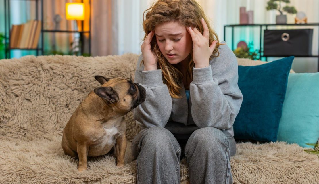Oh, no: Tu estrés podría llegarle a tu perrito a través de tus emociones