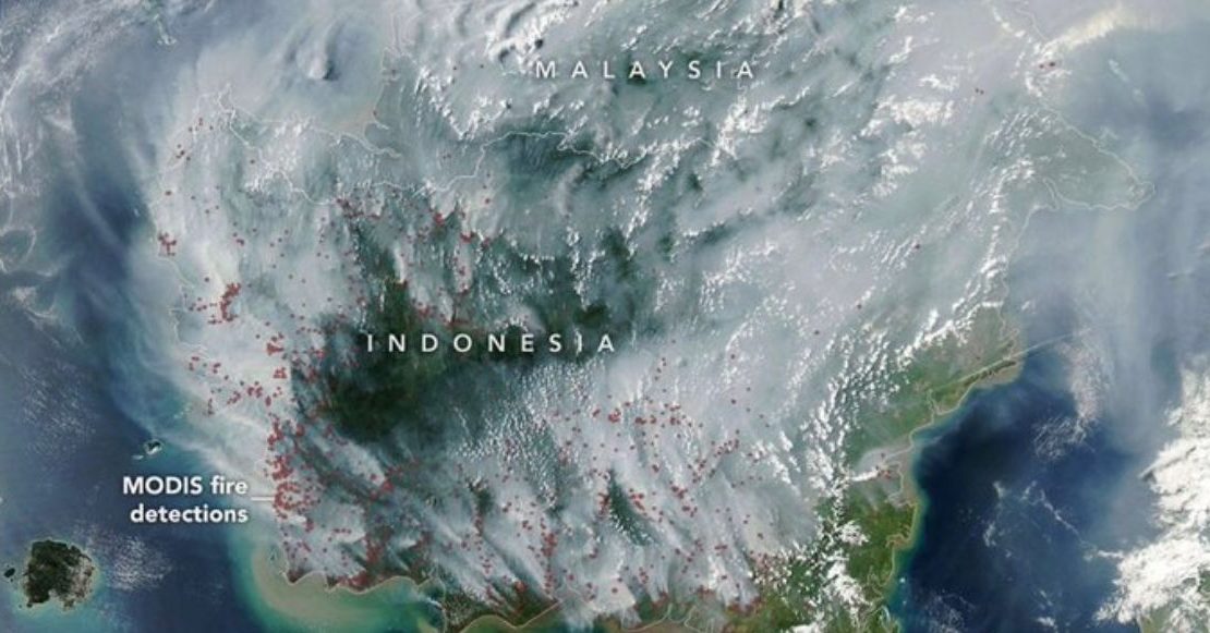 Incendios en Indonesia cubren de neblina a Malasia y provocan una emergencia