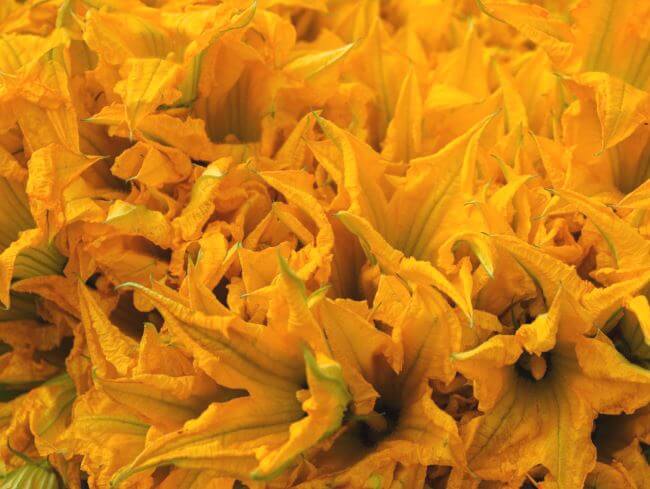 10 flores mexicanas que también son comida (y están deliciosas)