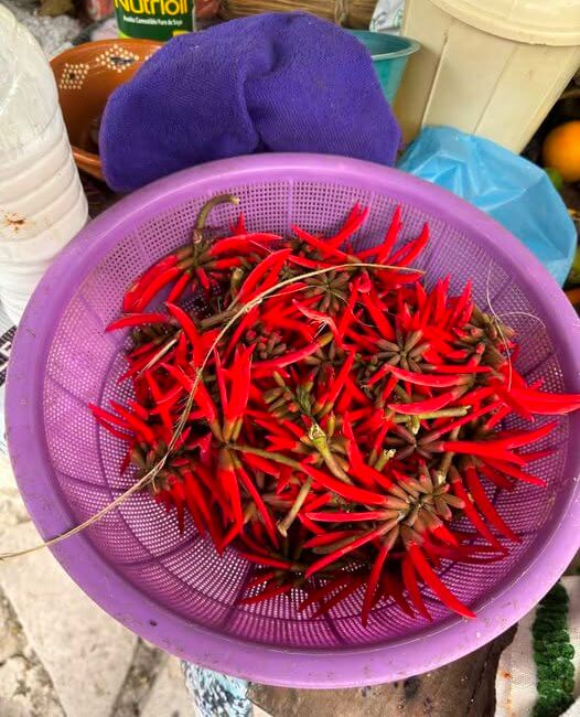 10 flores mexicanas que también son comida (y están deliciosas)
